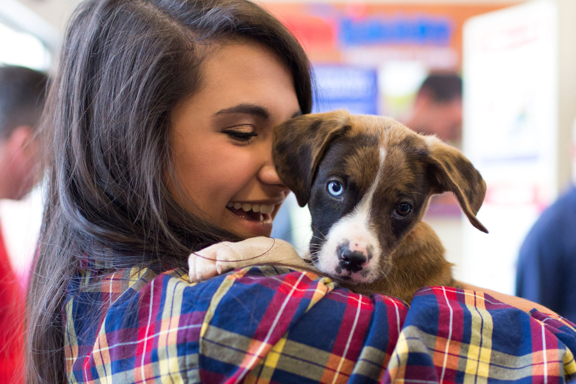 Can You Bring Your Dog To School